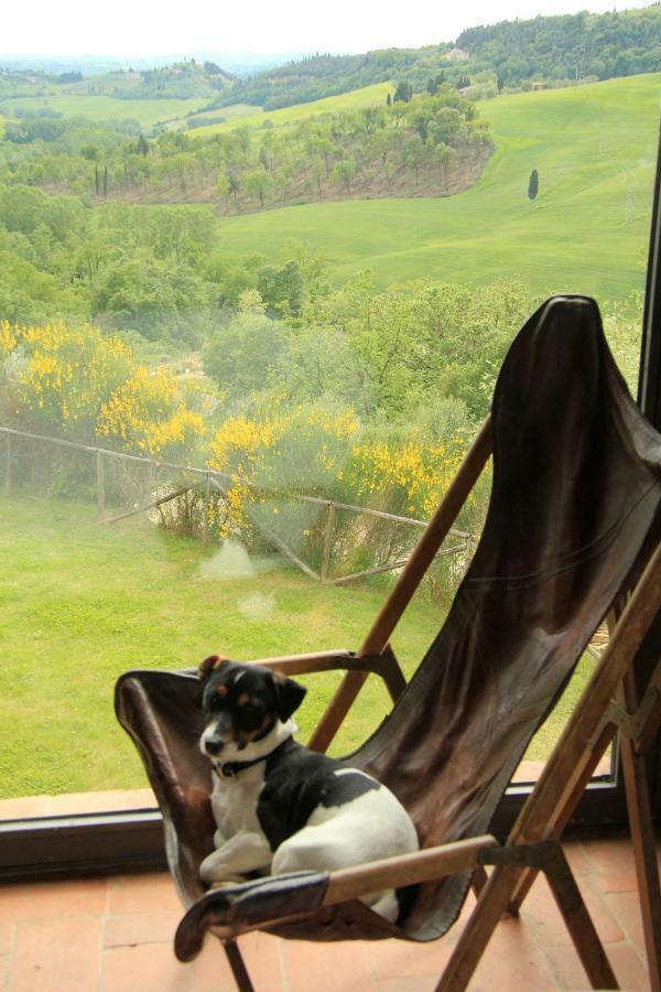 Bed and Breakfast Il Paretaio Barberino di Val dʼElsa Exterior foto