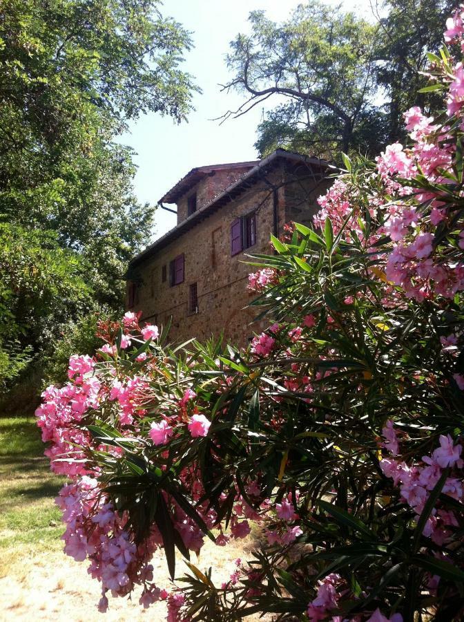 Bed and Breakfast Il Paretaio Barberino di Val dʼElsa Exterior foto